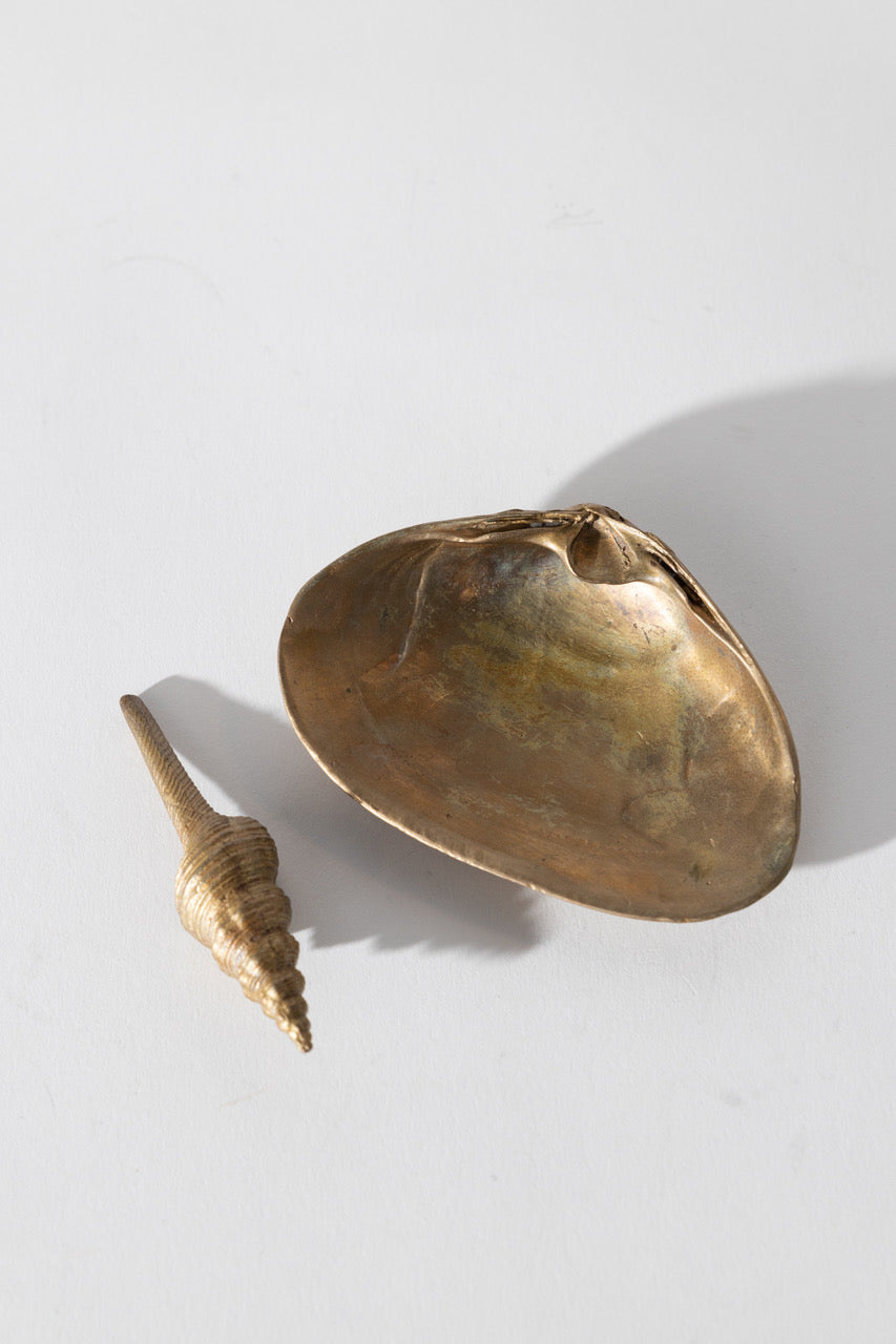 Bronze Clam Shell