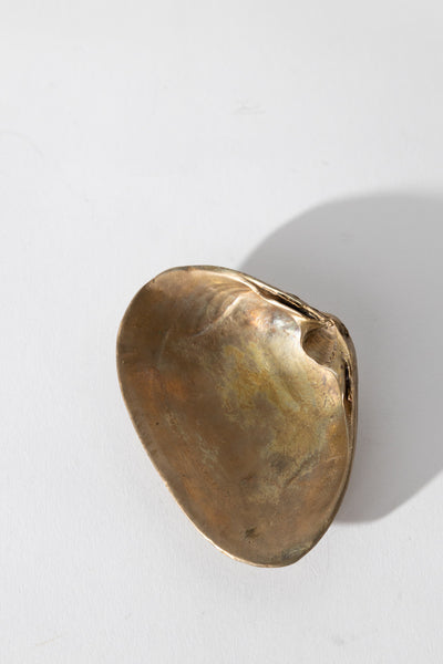 Bronze Clam Shell