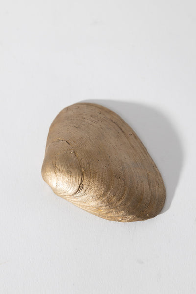 Bronze Clam Shell