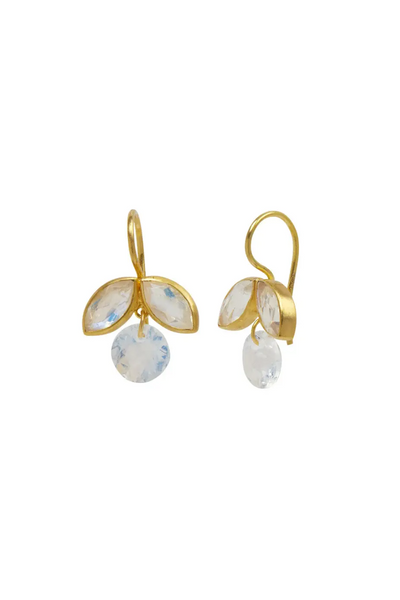 22K Yellow Gold Rainbow Moonstone Apple Earrings