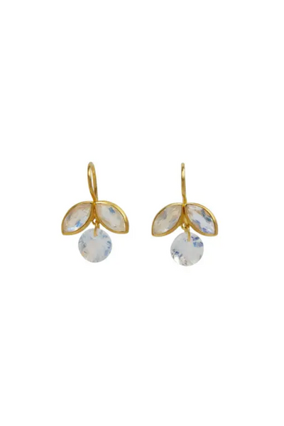 22K Yellow Gold Rainbow Moonstone Apple Earrings