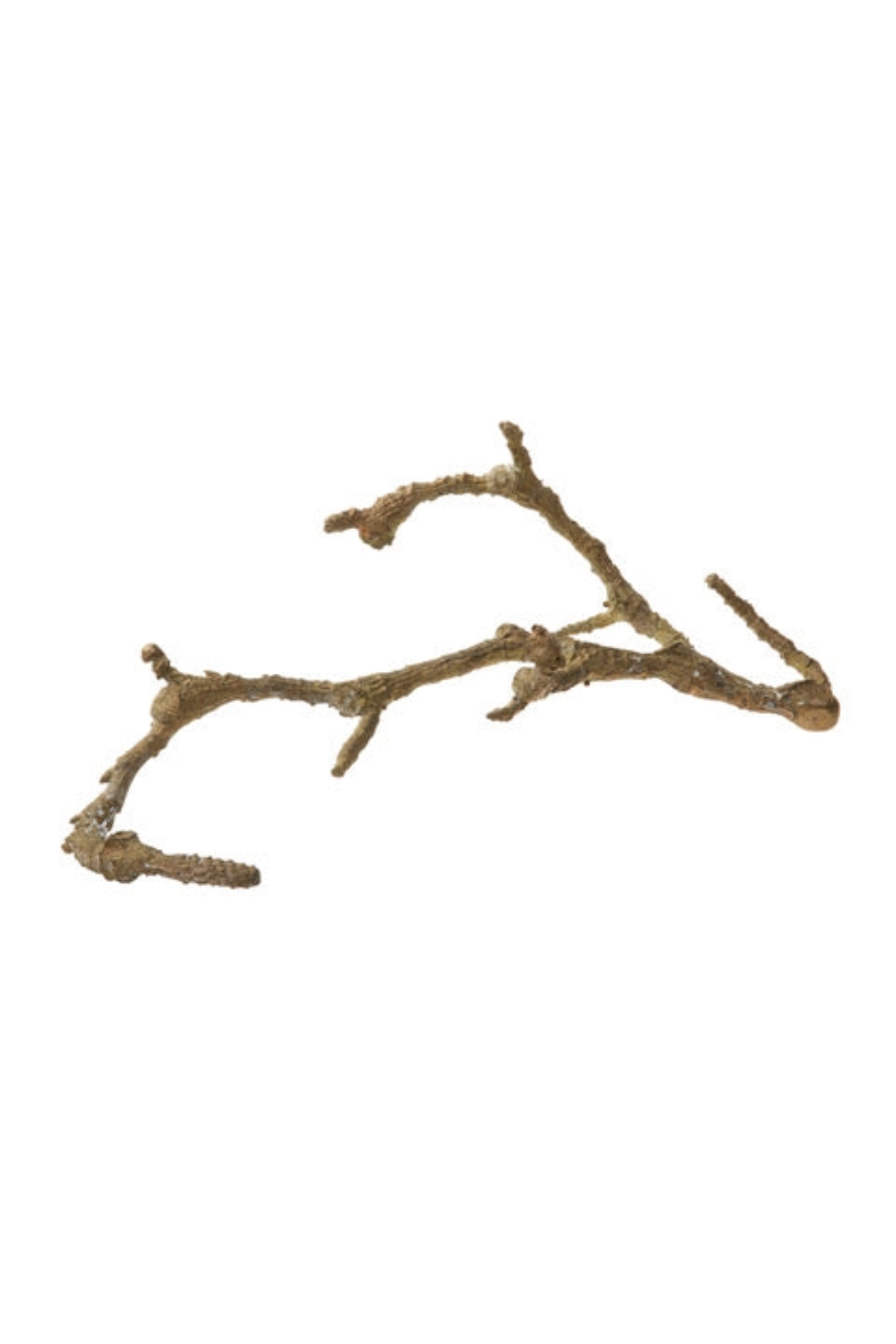 Bronze Spring Twig 2