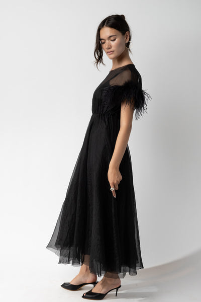 Organza Dress with Feathers