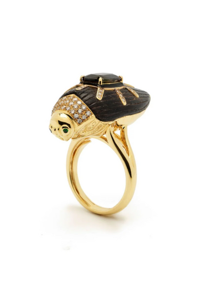 Scarab Ebony Ring with Watermelon Tourmaline