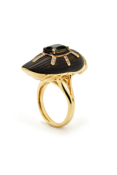 Scarab Ebony Ring with Watermelon Tourmaline