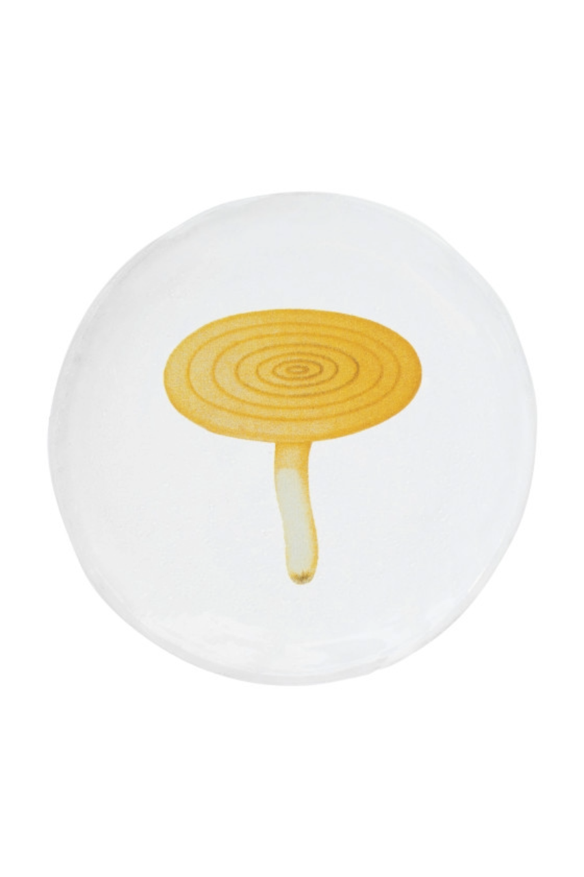 Agaric Caustique Plate - Small