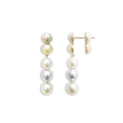 18K Yellow Gold Sectional Multi Colour Akoya Pearl Earrings