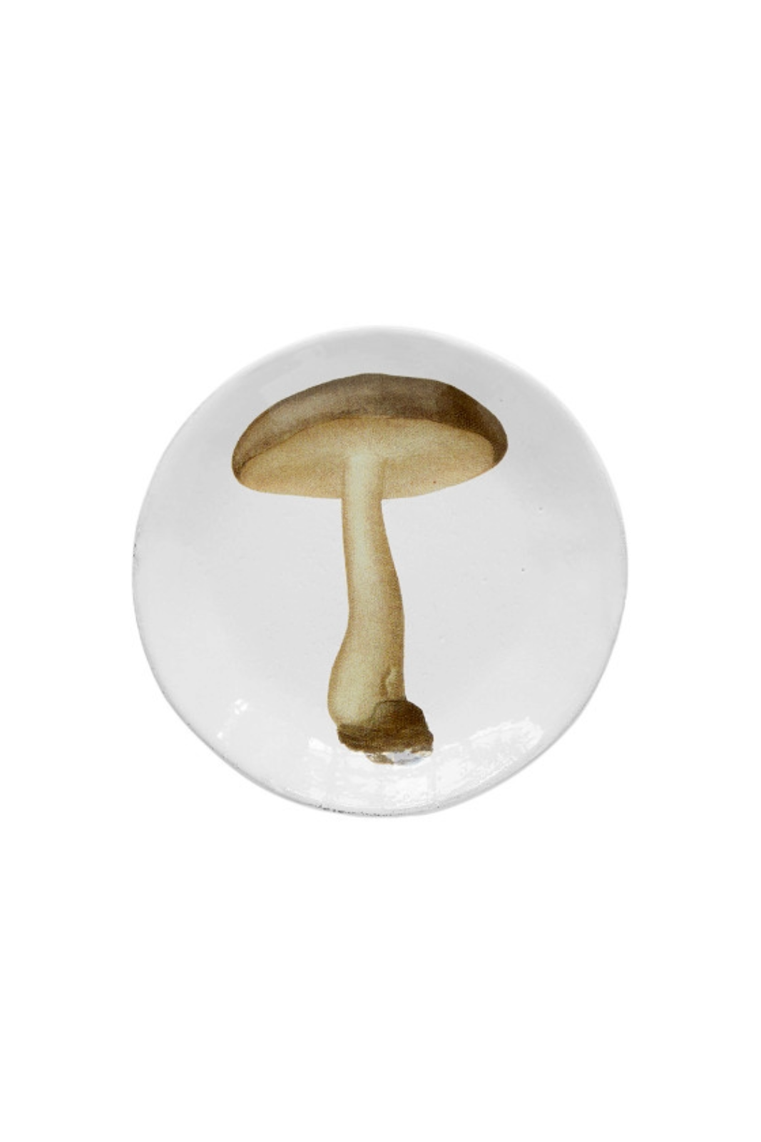 Small Agaric Nebuleux Plate